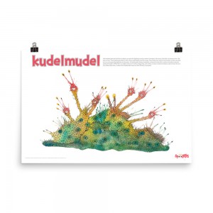 Kudelmudel Poster